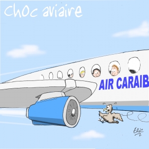 air-journal-choc-aviaire-71-7