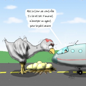 air-journal-peril-aviaire-38-82