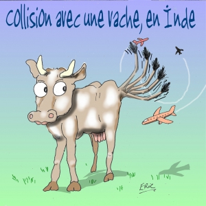 air-journal-vache-1-1