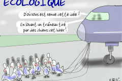 dessin 197 oiseaux