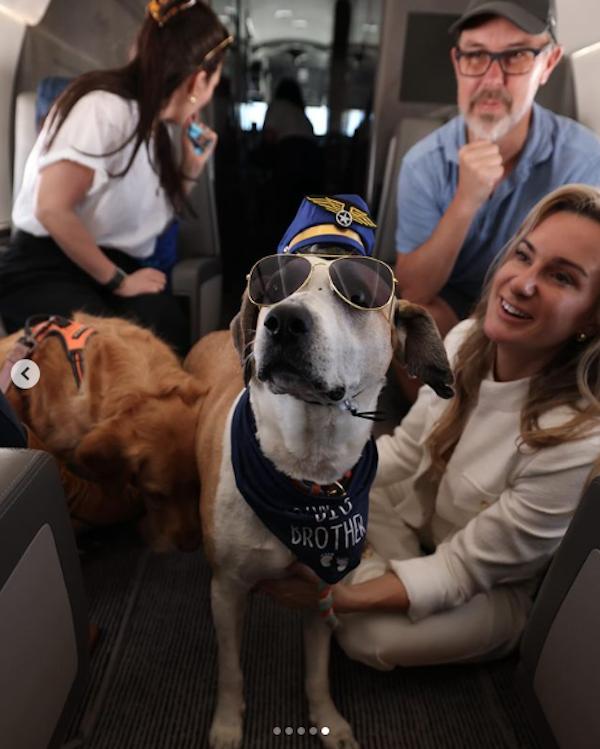 Insolite : Bark Air effectue son vol inaugural spécial canin de New York à Los Angeles 2 Air Journal
