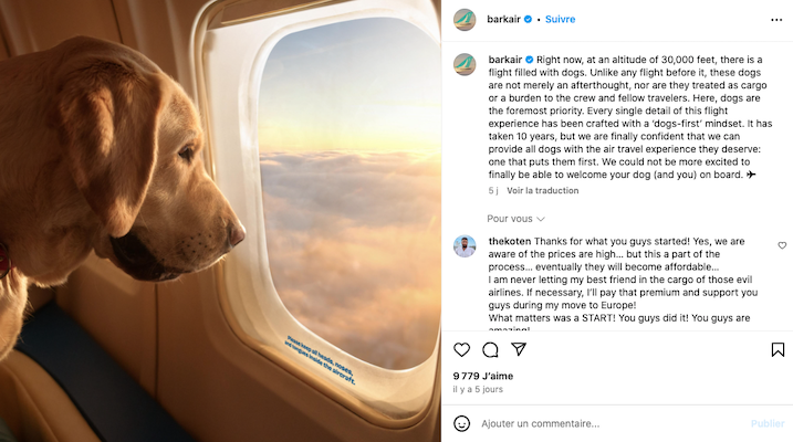 Insolite : Bark Air effectue son vol inaugural spécial canin de New York à Los Angeles 1 Air Journal