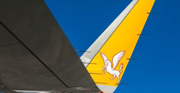 
Les sharklets, que l on retrouve à l extrémité des ailes de certains avions, ont une fonction aérodynamique importante. Ils s