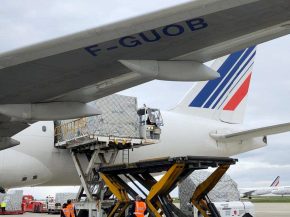 Le transport de fret par voie aérienne, qui semble s orienter vers une rapide reprise, représente l une des  rares lueurs d espo