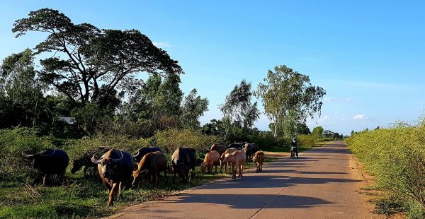 
Voyager sans se ruiner est tout à fait possible ! Voici une sélection de 10 destinations touristiques réputées pour leur nive