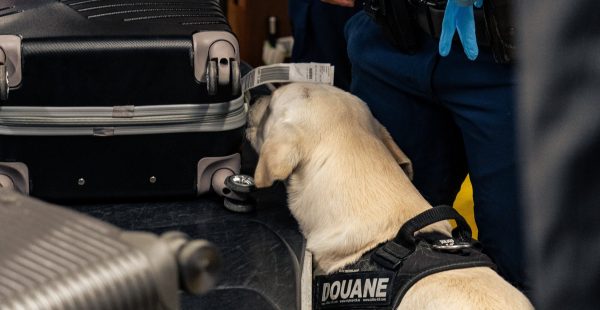 
Vendredi soir dernier, des trafiquants de drogue ont tenté de récupérer 23 kg de cocaïne -intercepté un peu plus tôt auprè