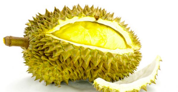 Le fruit du durian, vous connaissez ? Il est très prisé des gourmets du sud-est asiatique qui le considèrent comme le  roi des 