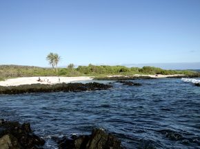 
Les îles Galapagos, un archipel d une biodiversité exceptionnelle, sont un véritable paradis pour les amoureux de la nature. P