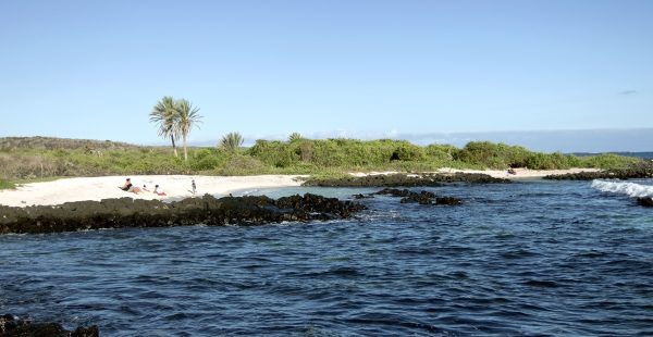 
Les îles Galapagos, un archipel d une biodiversité exceptionnelle, sont un véritable paradis pour les amoureux de la nature. P