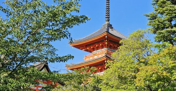 


Kyoto, ancienne capitale impériale du Japon, est réputée pour ses nombreux temples, sanctuaires, jardins et autres sites his