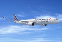 
La compagnie aérienne Air France a présenté le 11 juin son dispositif d’accueil   exceptionnel » mis en place cet été a
