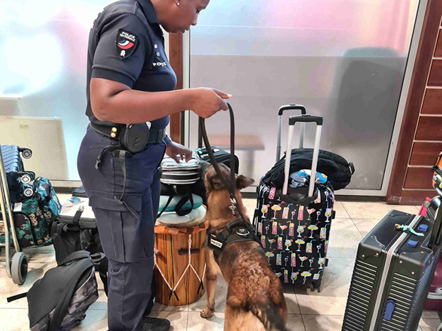 Des trafiquants tentent de récupérer 23 kg de cocaïne à l’aéroport de Roissy 1 Air Journal